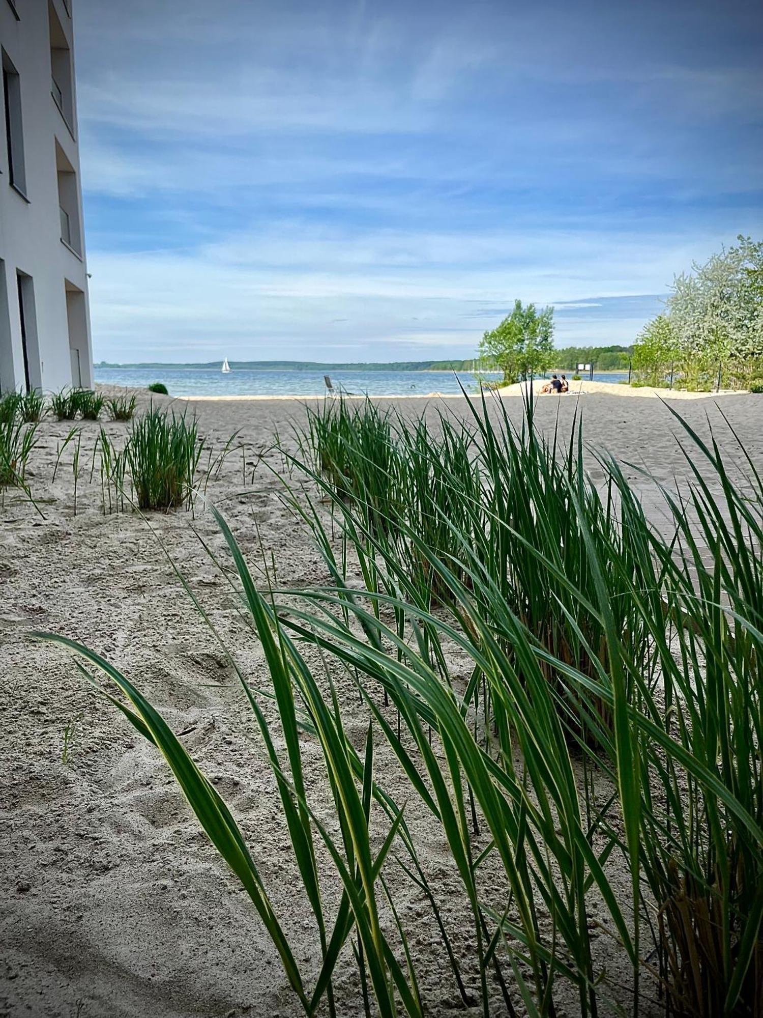 Horizon Park Lux Apartment
